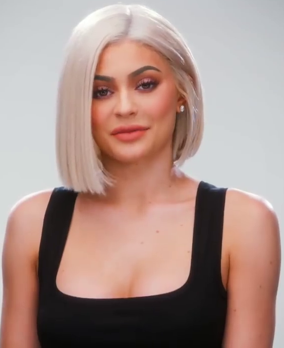 Kylie Jenner domineerde 2017